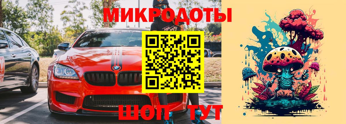Псилоцибиновые грибы мицелий Калининград